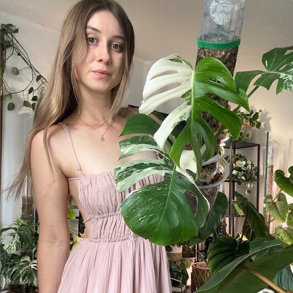 Meet your Posher, Hannah